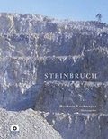 Cover: Steinbruch - Hollitzer Wissenschaftsverlag