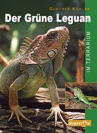 Abbildung von: Der Grüne Leguan im Terrarium - HERPETON