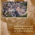 Cover: Sulzbach und das Land zwischen Naab und Vils im fr&uuml;hen Mittelalter - Stadt Sulzbach-Rosenberg