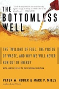 Cover: The Bottomless Well - Basic Books