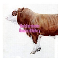 Enlarge image Cover: Mark Fairnington - Zimmermann, Peter