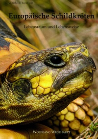 Abbildung von: Europäische Schildkröten - Wegehaupt Verlag