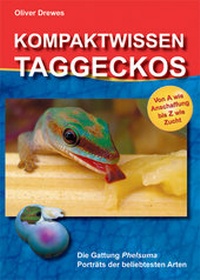 Abbildung von: Kompaktwissen Taggeckos - VIVARIA Verlag