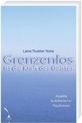 Cover: Grenzenlos ist die Kraft des Geistes - Diamant