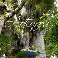 Abbildung von: Aotearoa. Acoustic nature walks. - Westrupp, Wilfried