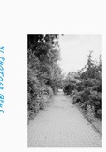 Cover: 41 Photographs for a Book - Diamondpaper
