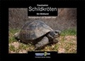 Cover: Faszination Schildkr&ouml;ten - Kleintierverlag