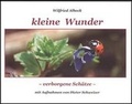 Cover: kleine Wunder - Albeck, S