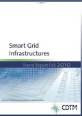 Cover: Smart Grid Infrastructures - Center for Digital Technology and Management