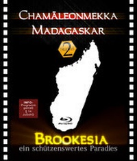 Abbildung von: Chamäleonmekka Madagaskar Brookesia (Staffel 2) BluRay - TropicMedia