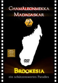 Abbildung von: Chamäleonmekka Madagaskar Brookesia (Staffel 2) DVD - TropicMedia