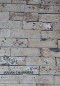 Cover: Julian Charri&egrave;re - On The Sidewalk, I Have Forgotten The Dinosauria - ConceptStore