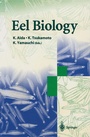 Cover: Eel Biology - Springer