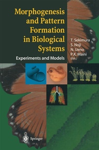 Abbildung von: Morphogenesis and Pattern Formation in Biological Systems - Springer