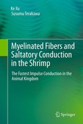 Cover: Myelinated Fibers and Saltatory Conduction in the Shrimp - Springer