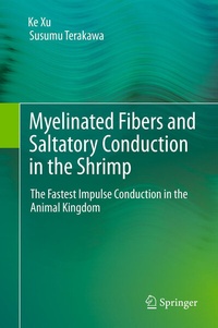 Abbildung von: Myelinated Fibers and Saltatory Conduction in the Shrimp - Springer