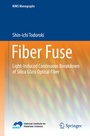 Cover: Fiber Fuse - Springer