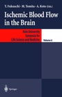 Cover: Ischemic Blood Flow in the Brain - Springer
