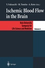 Cover: Ischemic Blood Flow in the Brain - Springer