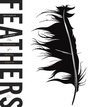 Cover: Feathers - Basic Books