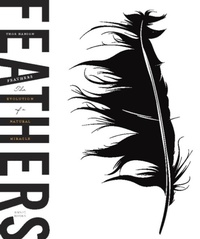 Enlarge image Cover: Feathers - Basic Books