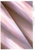 Cover: Kenshu Shintsubo + Takashi Ikegami - Foil Co Ltd
