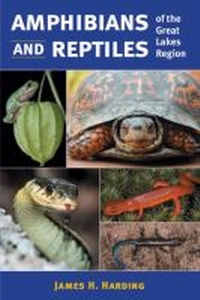 Abbildung von: Amphibians and Reptiles of the Great Lakes Region - The University of Michigan Press