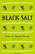 Cover: Black Salt - The University of Michigan Press