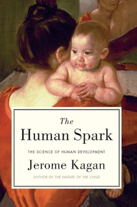 Enlarge image Cover: The Human Spark - Basic Books