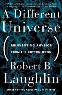 Enlarge image Cover: A Different Universe - Basic Books