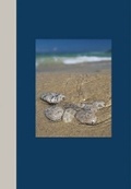 Cover: Michigan Journals--Petoskey Stones - The Petoskey Publishing Company
