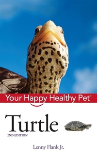 Abbildung von: Turtle - Wiley