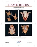 Cover: North American Meat Processors Gamebirds Notebook Guide - Wiley