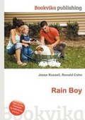 Cover: Rain Boy - Book on Demand Ltd.