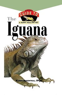 Abbildung von: Iguana - Howell Book House