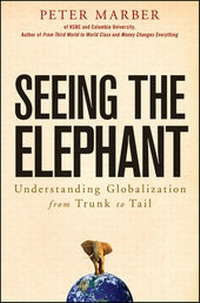 Enlarge image Cover: Seeing the Elephant - Wiley
