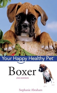 Enlarge image Cover: Boxer - Wiley
