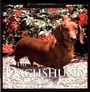 Cover: The Dachshund - Howell Book House