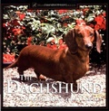 Cover: The Dachshund - Howell Book House