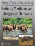 Cover: Biology, Medicine, and Surgery of Elephants e Book Version - Wiley
