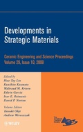 Cover: Developments in Strategic Materials, Volume 29, Issue 10 - Wiley