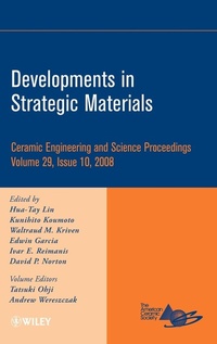 Enlarge image Cover: Developments in Strategic Materials, Volume 29, Issue 10 - Wiley