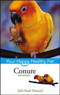 Cover: Conure - Wiley