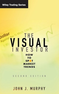 Enlarge image Cover: The Visual Investor - Wiley