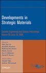 Cover: Developments in Strategic Materials, Volume 29, Issue 10 - Wiley