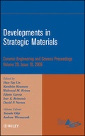 Cover: Developments in Strategic Materials, Volume 29, Issue 10 - Wiley