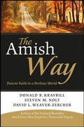 Cover: The Amish Way - Jossey-Bass