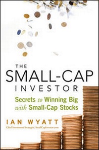 Enlarge image Cover: The Small-Cap Investor - Wiley