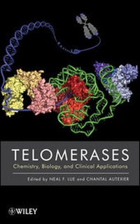 Abbildung von: Telomerases - Wiley