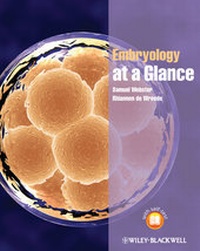 Bild: Embryology at a Glance - Wiley-Blackwell